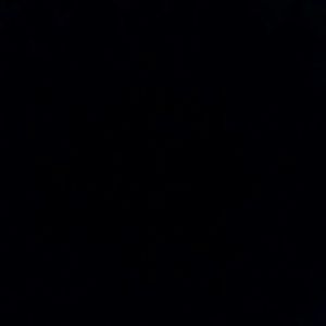 Meet your Posher, Priscilla